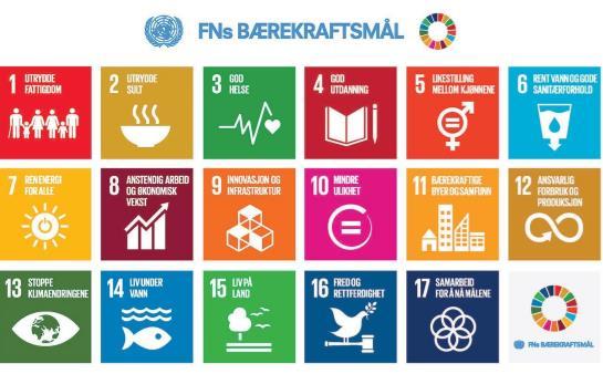 Bærekraftig utvikling er en utvikling som tilfredsstiller dagens behov uten å ødelegge fremtidige generasjoners muligheter til å tilfredsstille sine behov.