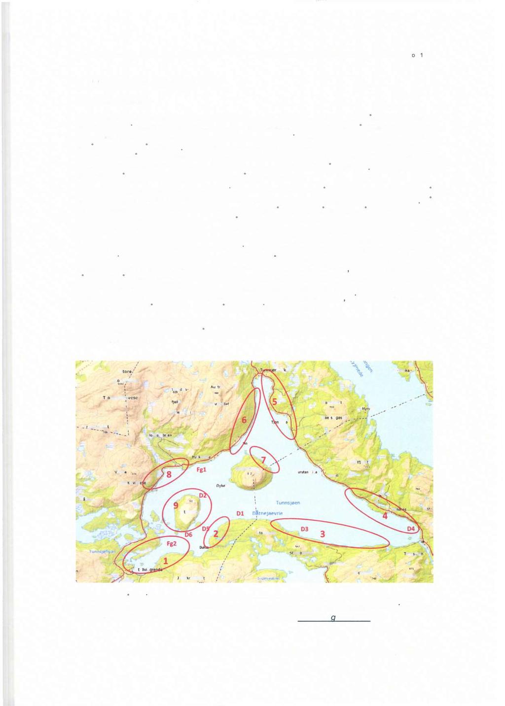 3 Materiale og metoder 3.1 Garnfiske Det er fisket med Nordisk prøvegarn (Appelberg mfl. 1995) nær land i ni områder i Tunnsjøen (figur 3; koordinatene for garnstasjonene er gitt i vedlegg 3A).