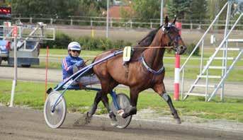 Dante Buitenzorg (NL) Maria Tverbak Widnes /Horten Åsbjørn Tengsareid (T) - Malene Berdalen (T) rød m/blå krage,belte,ermfelt + reklam H. Tvedt BI 02/02-06/ 2 2100 2 14,8a 167 E.