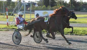 V75-7/V4-4/DD-2 Tips: 11-3-5-6 Balder Halbak og Tor Arne Eggen Chef Superb og Jomar Blekkan Down And Dirty og Andre H. Stensen Start ca. kl. 17.10 10.