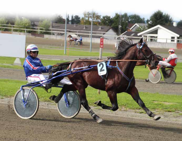 Nytt tilbud til 4-åringene Prince Muscle L.L. Overviks 4-års serie for varmblods kommer i nytt format denne sesongen.