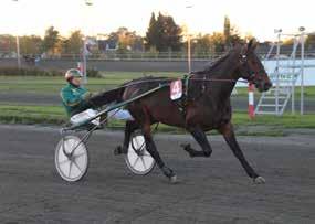 Creek s Survivor Rofstad Odin Ni unna 2000 - Bjørn Garberg nærmer seg 2000 seire med stormskritt. Når Kvål-baserte Bjørn Garberg skar mållinjen først med Vill Jerven mandag 1.