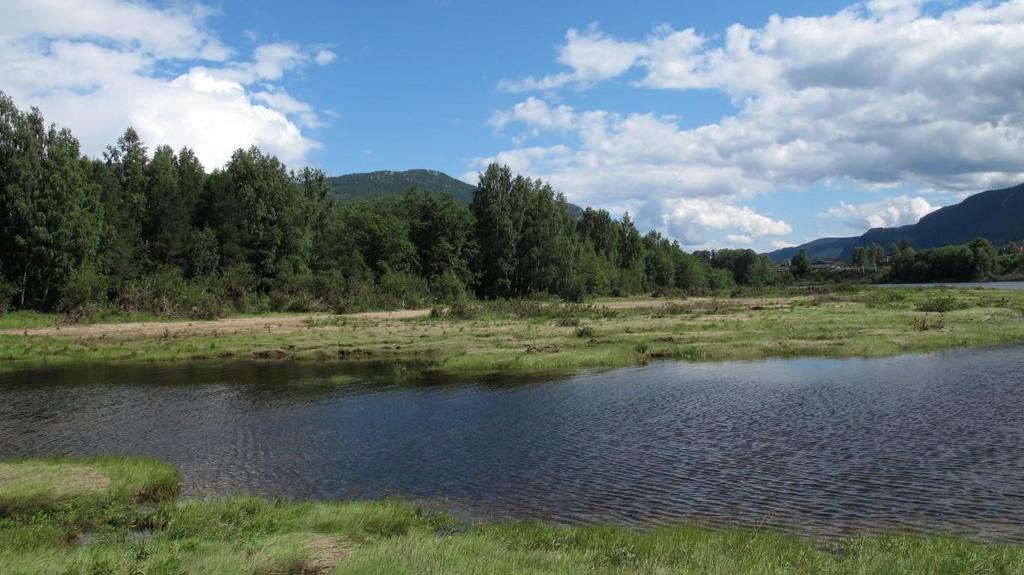 Området er dannet som Vesleåis delta i Hallingdalselva, og er en flompåvirket sand- og grusør. Øra er preget av strømgroper og eldre bekkeløp. Vesleåi/Heieelvi har nå utløp i søndre del av øra.