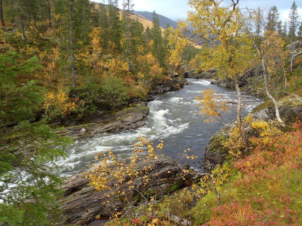 linje) Vedlegg 5, Fotografier av berørt