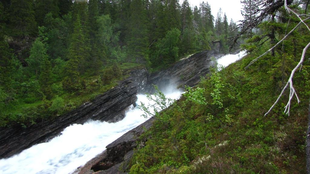 På grunn av dette er det nesten en kontinuerlig sone med fosserøyk, og vegetasjon preget av dette hele veien langs den berørte elvestrekningen.