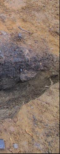 Det ble påvist til sammen 17,5 kg skjørbrent stein fra den bortgravde halvdelen i ildstedet. Kokegropen (S2) fremstod i plan som tilnærmet oval med mørkebrun kullblandet silt.