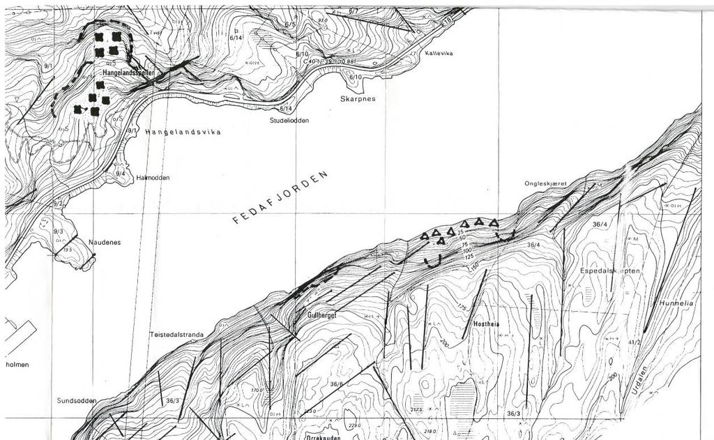 3.2 Hangelandsvika, Speilen Hangelandsspeilen ligg på nordsida av Fedafjorden, nord for Kvina verft (Figur 4).
