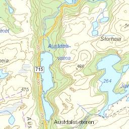 informasjon Vannforekomstnavn Austdalselva Vannregionmyndighet Sør