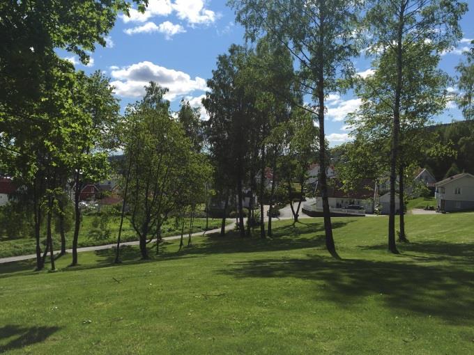 18 av 46 Lassebakken barnehage ligger mellom Konnerudgata og Lassebakken, et stykke nord for Grøntområdet. Figur 9. Til venstre parken nedenfor Smithestrøm gård. Til høyre den tilgrensende balløkken.