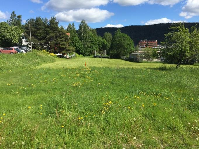 Identitetsskapende områder/elementer Den vedtaksfredete Smithestrøm gård og parken rundt utgjør en viktig grønn lomme i en ellers sterkt utbygd bydel, og tilfører nærmiljøet identitet. 4.1.