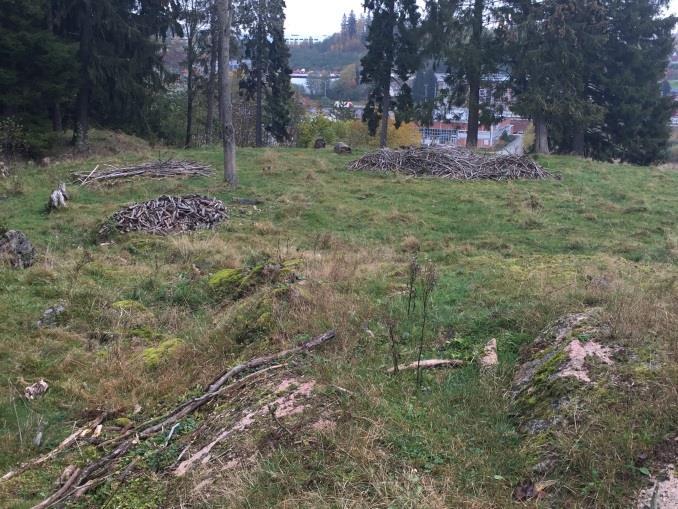 Fra gårdene ved Fjellsveien er atkomsten enklere, og det ble blant annet funnet en bålplass i skogen