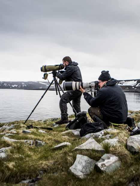 Fuglekikking og safari Norge svært ettertraktet Stort marked Mange