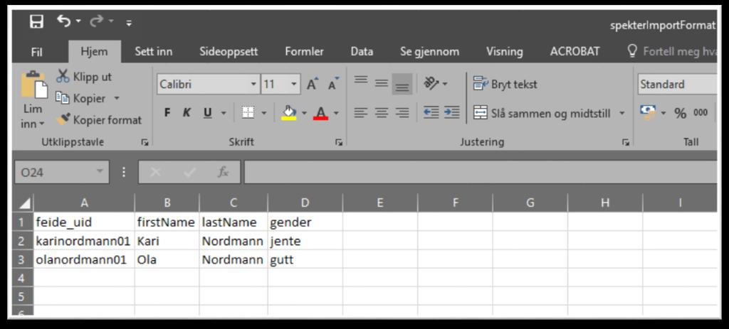 Du vil da få opp et skjermbilde tilsvarende bildet vist under: Det er viktig at du lar feide_uid, firstname, lastname og gender stå som de er.