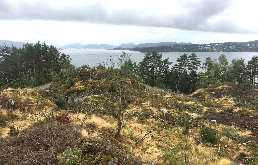 Tiltaket sine verknader på omgjevnadene/ interesser som er berørt Landskap, natur, friluftsliv, borns leik/ bruk Området er kupert, slik at vurdering av landskaps-/ terrengtilpasning vil vere