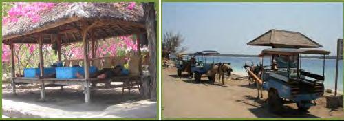 Dersom det er mennesker som er ute etter luksus og super service er kanskje ikke dette rette stedet, da vil det kanskje være bedre å sende folk til et strand resort på Lombok eller Bali.