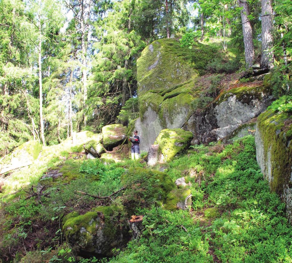 146 vestfoldbaneprosjektet. bind 1 Figur 6.2. Oversiktsbilde over Nedre Hobekk 1. Bergveggen i bakkant minner om en heller. Figure 6.2. View of site. The rock face has rock shelter characteristics.