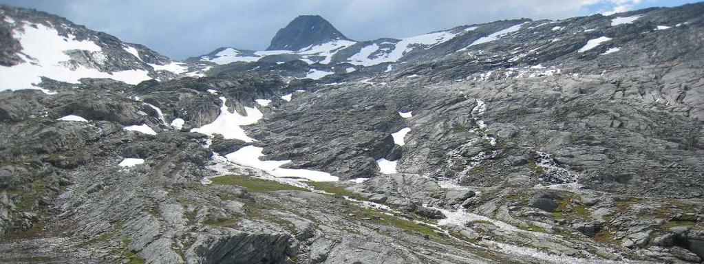 Figur 2 Terreget i Øvre Koppane med snaufjell og tynt vegetasjonsdekke i søkk i terrenget. I nordenden av nedbørsfeltet er det eit tjern.