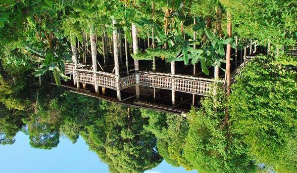 Etter en opplevelsesrik rundreise på øya får dere mulighet til å slappe helt av på det flotte Shangri-La Rasa Ria Resort, som ligger ved en helt