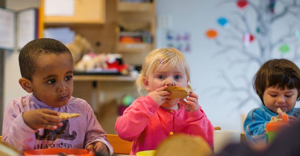 FILIORUM betyr «for barn» på latin Barns trivsel, lek, utvikling og læring - både her