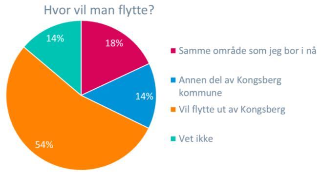 I denne sammenhengen ble følgende områder i Kongsberg nevnt som aktuelle å flytte til: Sentrum Utenfor sentrum Frydenbergåsen Heistadmoen Raumyr Gamlegrendåsen Øvre Sandsvær Wergelandsveien Boområde