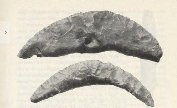 Figur 9-7: To av flintsigdene (Askeladden ID 142076) som ble funnet på området til Hafslund skole. De er mellom 9-11,6 cm lange (kilde: Bakke, 1953).