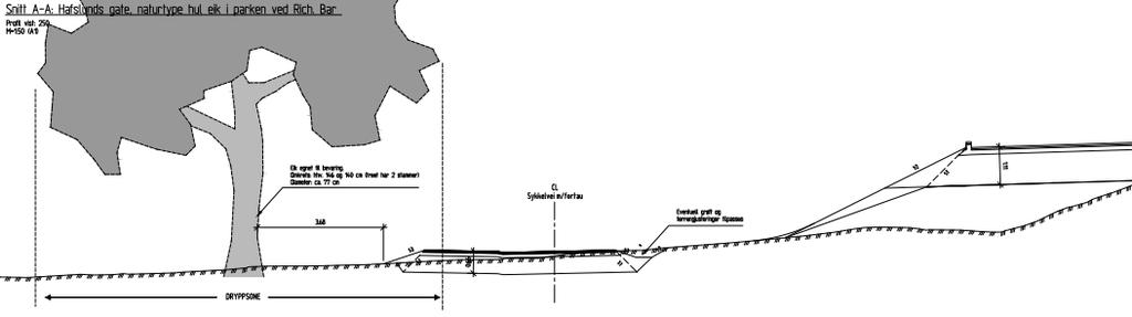 Figur 6-28: Snitt av alternativ 3 for fremføring av sykkelveg m/fortau gjennom parken, forbi eiketrær ved Rich. Bar.