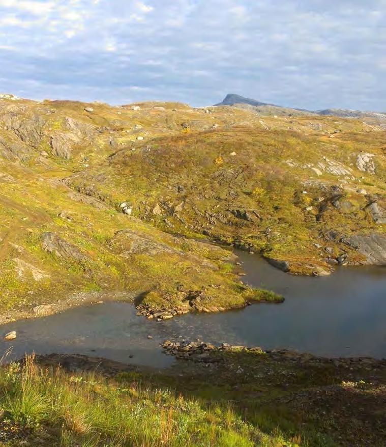 1.1.5 160.14 Navnløsvatn Avløpsstasjonen ligger ved Navnløsvatnet rett nord for Storglomvatn, (se figur 1.2). Stasjonen erstatter den gamle stasjonen på Navnløsvatnet (160.6).