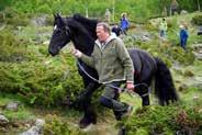 Tonje Ree Asbøll brukes som er veterinær. Einar Kristiansen er vikar.