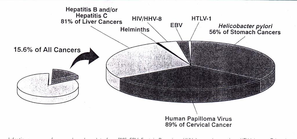 Virus and Cancer