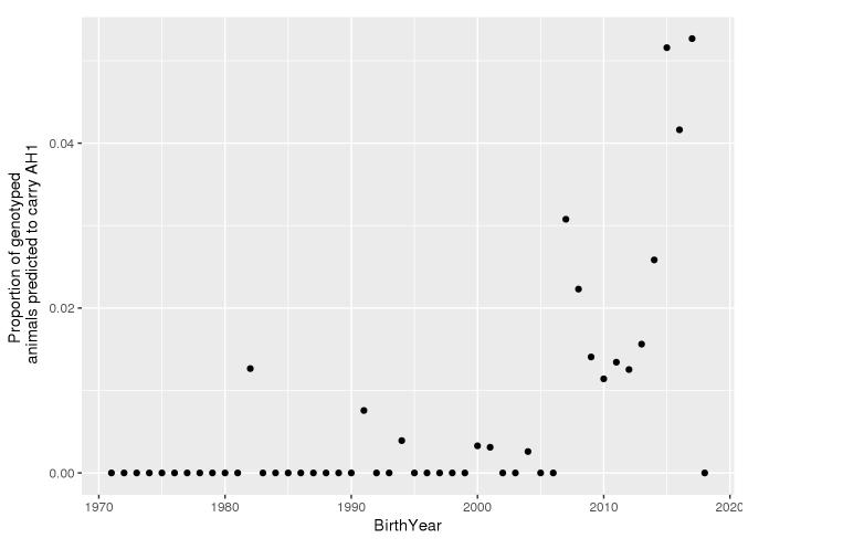 Frekvensen av bærere av AH1 per fødselsår er illustrert i Figur 1. Figuren viser en tydelig økning av bærere de siste 10 årene. Figur 1: Predikert frekvens av AH1 bærere per fødselsår (A.