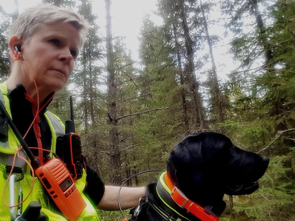 -Vokst opp med hund, elghund, retrievere.