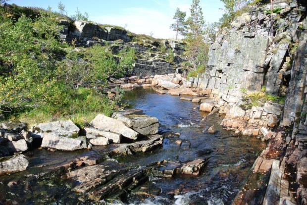 myrsaulauk og flere torvmosearter. Leneselva er avgrenset som et viktig bekkedrag (E06) med C-verdi av Origo Miljø (2003), men om denne lokaliteten foreligger det svært lite informasjon i Naturbase.