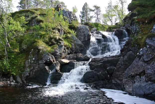 I Melslættelva ble det registrert en fossesprøytsone (figur 9), Melslættfossen, med C-verdi.