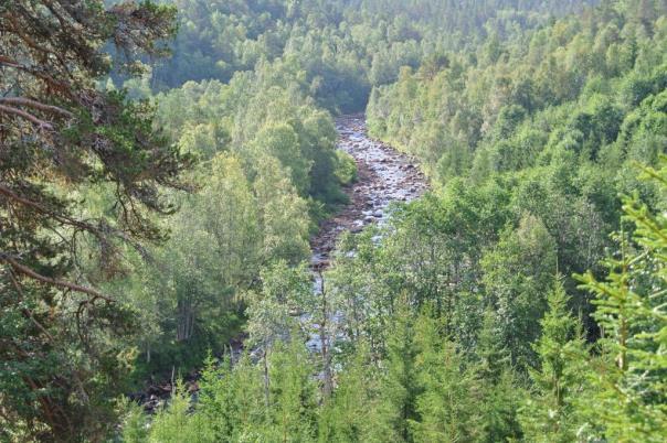 De planlagte overføringene vil i sin helhet gå i gjennom myrområder.