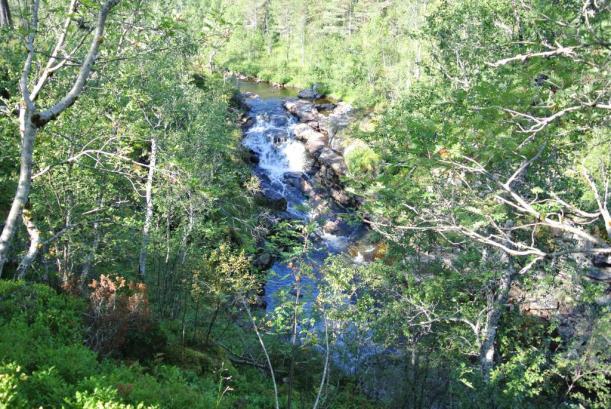 Leiråvatnet og Leneselva Leiråvatnet er et relativt grunt vann, med store, grunne og produktive arealer (Gorseth 2008).