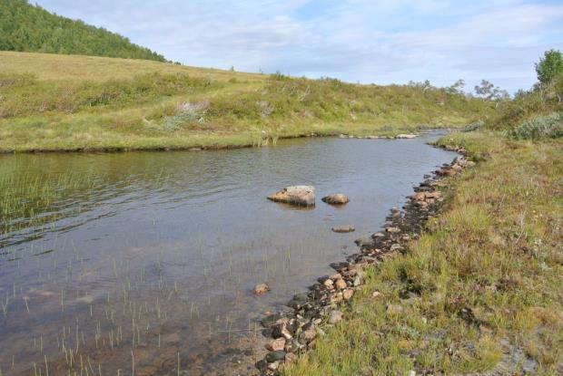 Melslættelva og Haugaelva I følge lokalt kjente er det aure og røye i Skardsetervatnet, og kun aure i Skogsjøen (John Harald Moe, pers. medd.). Ål (CR) er ikke kjent fra disse innsjøene.