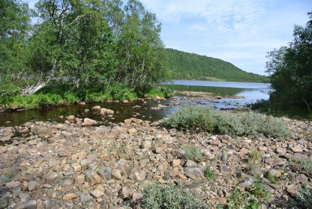 Elva renner rolig videre ned til Skogsjøen fra fossen. Det er ikke mulig for fisk fra Skogsjøen å vandre forbi Melslættfossen.