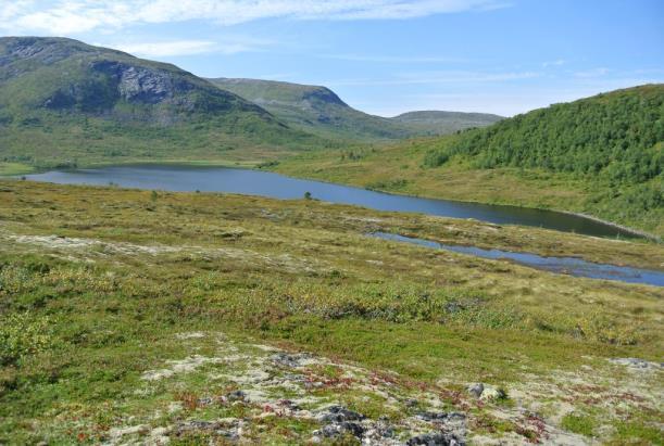 Middels verdi for verdifulle lokaliteter og liten verdi for fisk og ferskvannsorganismer, gir middels til liten verdi for akvatisk miljø for Leiråvatnet, Skardsetervatnet, Melslættelva og aktuelle