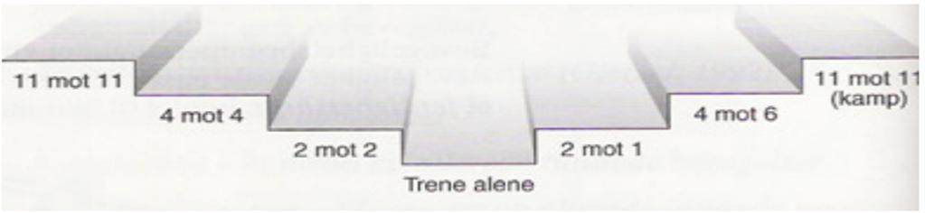 Hjelpetrenere og hovedtrener må ha en felles plan for treningsgjennomføringen. Som en tommelfingerregel kan man si at i det bør som minimum være en trener pr 7 barn på feltet.