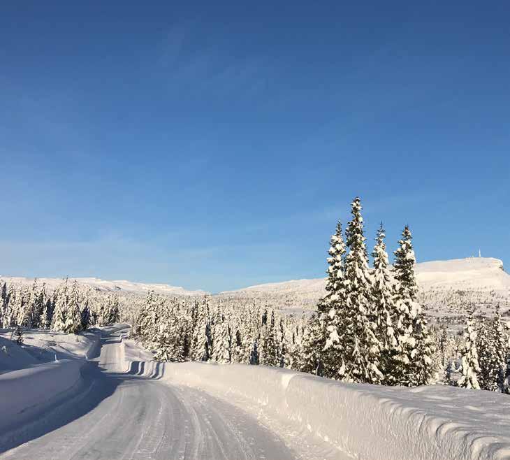 Blekastad Hyttefelt ligger ca. 750 m.o.h. og ligger veldig fint og usjenert til ca 3 km vest for Skeikampen og 2 km fra Austlid Fjellstue.