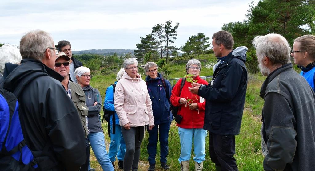 Dvergmarinøkkel (Botrychium simplex) har vært kjent fra gården Nesheim i Sveio siden 1980 (Holtan-Hartwig & Timdal 1990).