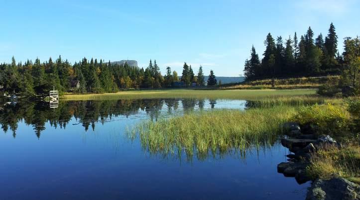 aturen veklser mellom snaufjell og frodig høyfjellsterreng og