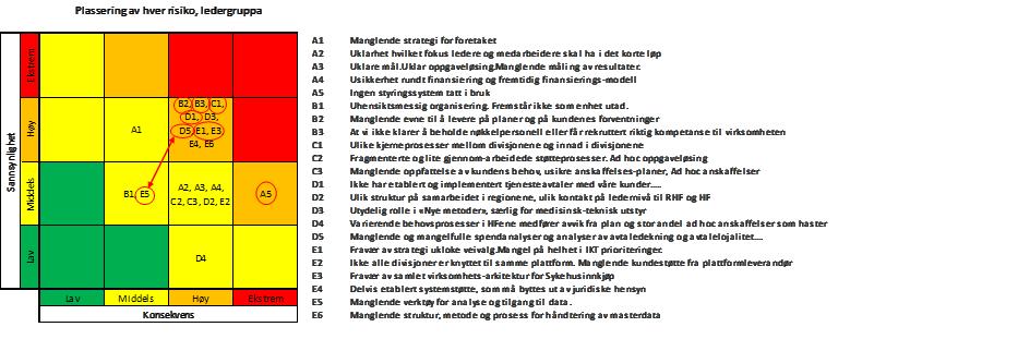 5. Samarbeidsavtaler med HF (Risiko D1) 6. IKT strategi og Virksomhetsarkitektur (Risiko E1, Risiko E3) 7.