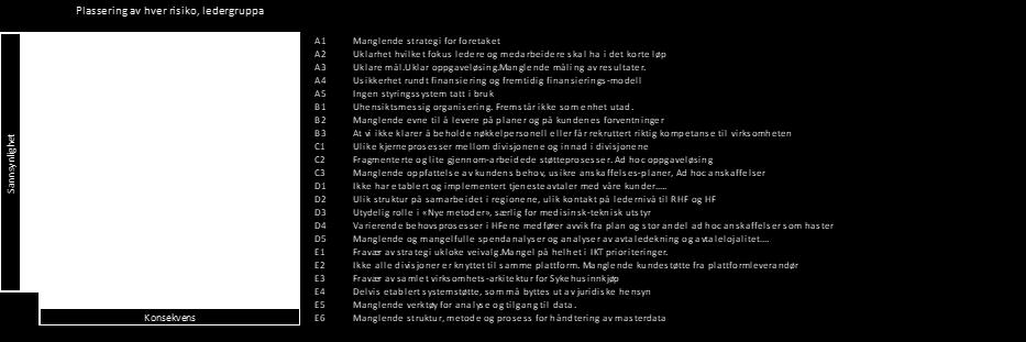 Et viktig innspill fra de tillitsvalgte var at risikovurderingen ikke har identifisert myke risikoer i foretaket, slik som for eksempel kultur.