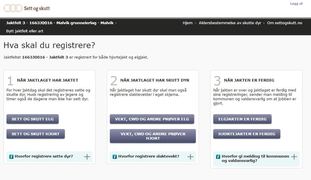 Jaktleder er ansvarlig for registrering av sett elg og sett hjort, men kan gi ansvaret til en annen i jaktlaget.