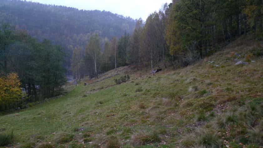 Rafossen bassenget, der kraftstasjonen er plassert, ligger på ca. kote 80. Det er lite løsmasser i området. Langs tunneltraseen er det blottlagt berg.