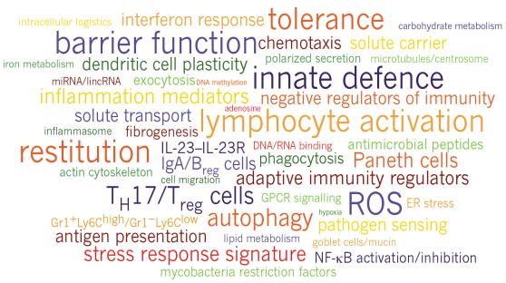 Røyking Hygiene Stress Khor B