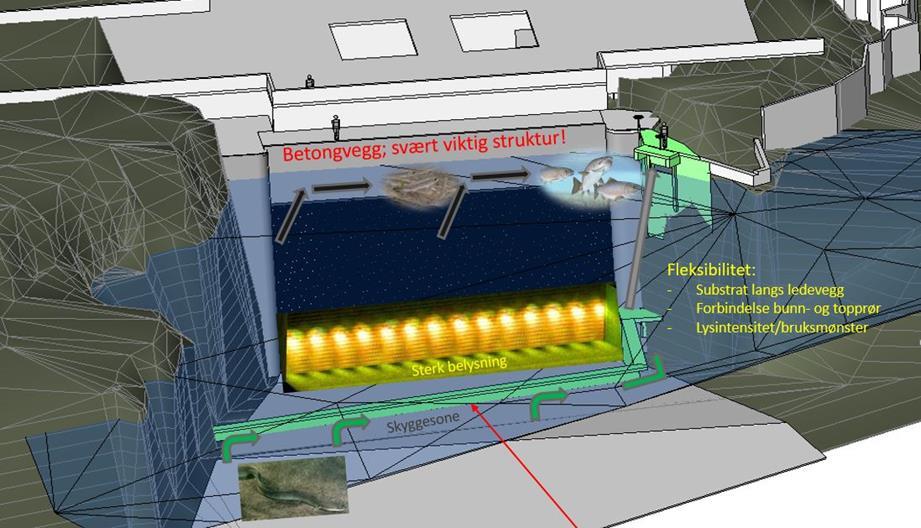 Figur 4: Skisseløsning for fisketiltak ved Klosterfoss kraftverk. Begge rørene vil bli dimensjonert for å kunne føre opp til 3,5 m3/s, som er mer enn konsesjonspålagt vannføring på 2,5 m3/s.