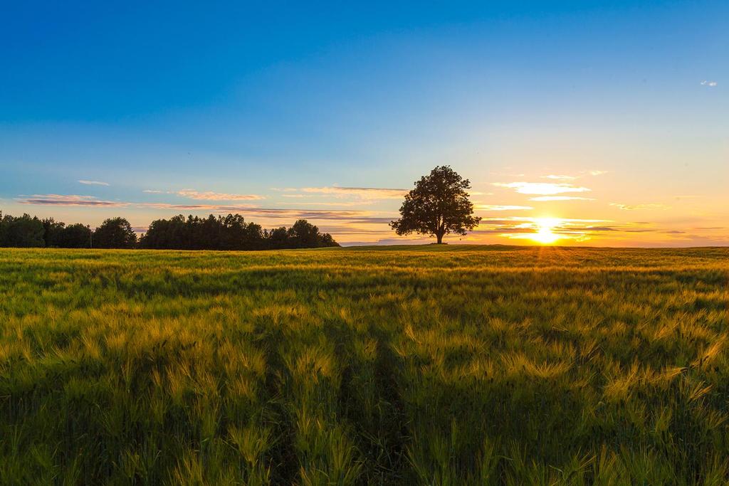 Viken fylkeskommunes visjon: Viken