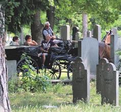 entralfriedhof Infos unter 01-534 69-28405 oder: www.friedhoefewien.at bzw. www.bestattungsmuseum.at befinden sich in der Nähe.